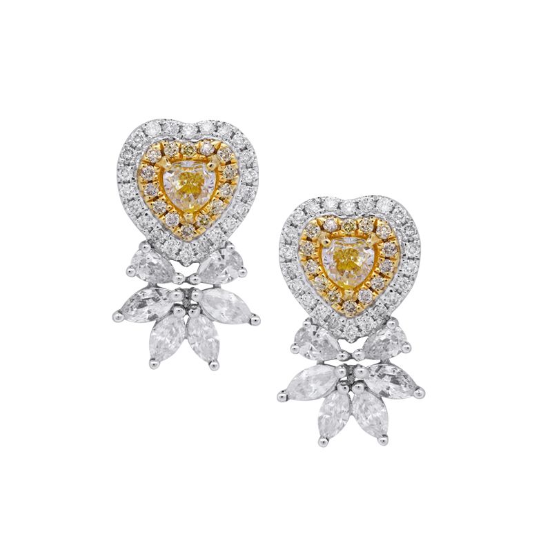 Alora Fancy Diamond Earrings